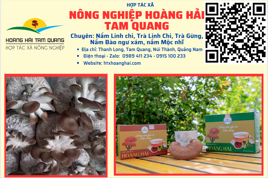 HỢP TÁC XÃ NÔNG NGHIỆP HOÀNG HẢI TAM QUANG