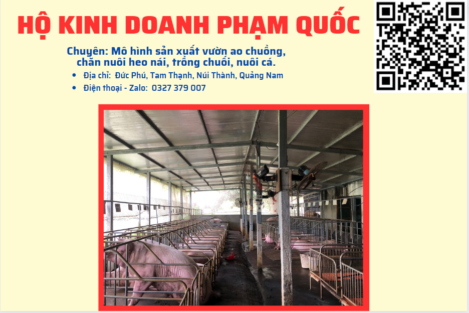 HỘ KINH DOANH PHẠM QUỐC