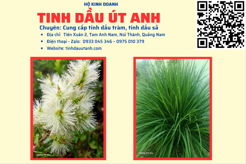 HỘ KINH DOANH TINH DẦU ÚT ANH